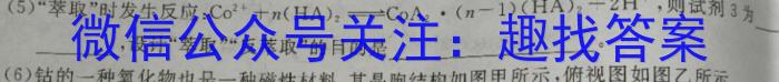 3甘肃省2024届高三12月高三阶段检测化学试题