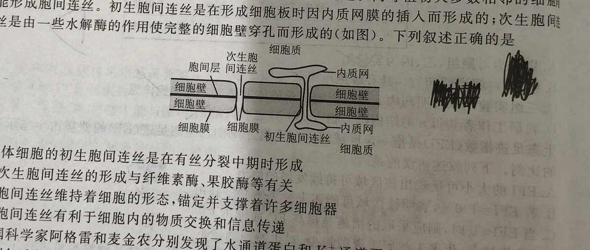 云南师大附中(云南卷)2024届高考适应性月考卷(五)5(黑白黑白白黑白黑)生物学试题答案