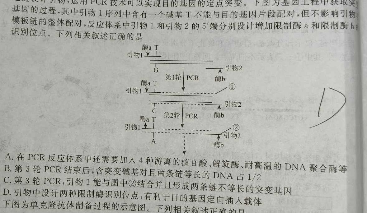 文海大联考2024届高三期中考试生物学试题答案