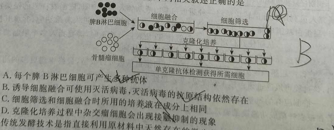 安徽省2023-2024学年八年级（上）全程达标卷·单元达标卷（四）生物学试题答案