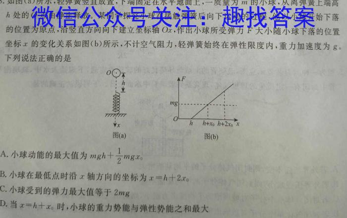 2023-2024学年广东省高一12月联考(24-206A)物理试卷答案