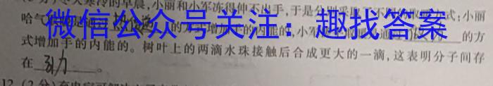 2024年衡水金卷先享题分科综合卷答案新教材一物理试卷答案