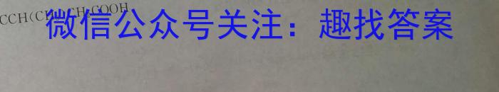 q陕西省2023-2024学年度九年级第一学期第三阶段创新作业(11月)化学