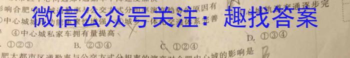 安徽省合肥38中2023/2024学年度第二学期八年级期中考试地理试卷答案