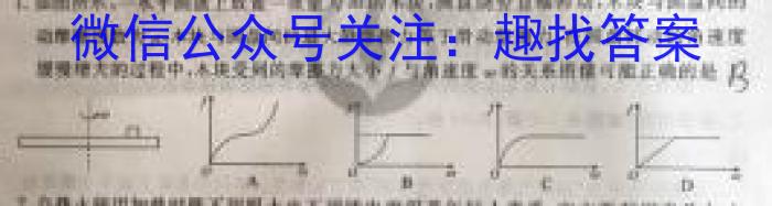 安徽省2024届九年级核心素养评估(二)物理试卷答案