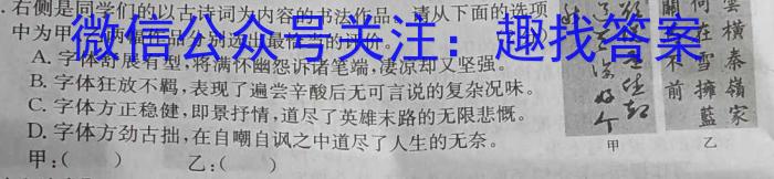 2024届广东省高三试题11月联考(24-142C)语文