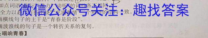 山西省2023-2024学年上学期九年级第三次月考语文