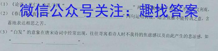 2023-2024学年重庆市高一考试12月联考(24-196A)/语文