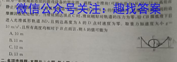 安徽省滁州市天长市2023-2024学年度（上）九年级第二次质量检测l物理