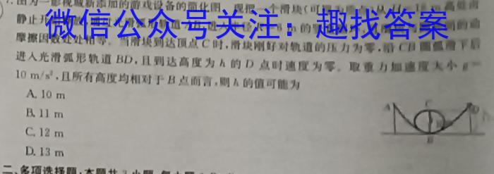 百校名师 2024普通高中高考模拟信息卷(二)2q物理