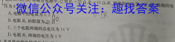 ［河北大联考］河北省邢台市五岳联盟2023-2024学年高三（上）期中考试物理试卷答案