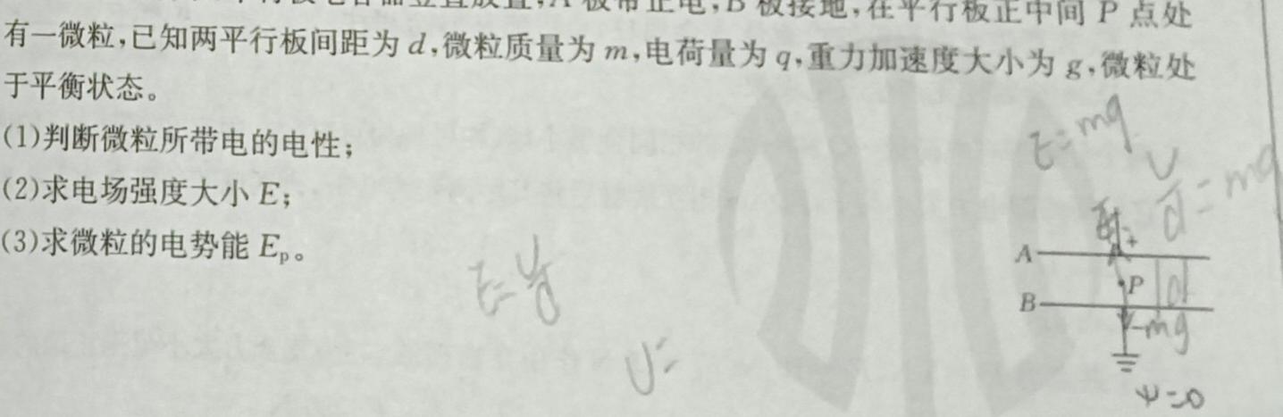 2023-2024上学期衡中同卷高三五调考试物理试题.