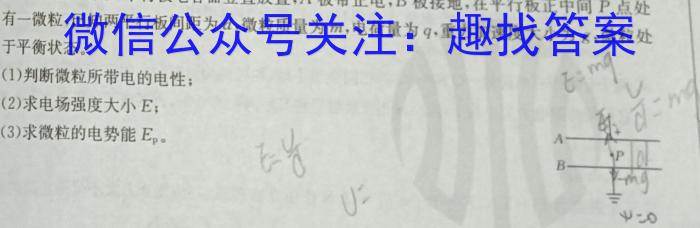 广西省2023年秋季期高中二年级期中教学质量检测(24-141B)q物理