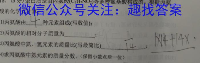 q2023-2024学年度第一学期武汉市部分学校高一年级期中调研考试化学