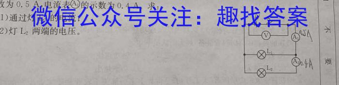 河南省2023-2024学年上学期七年级质量评估q物理