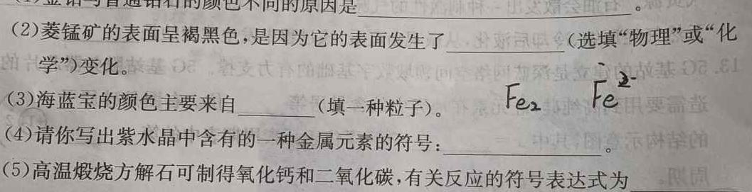 12023-2024学年湖南省高一选科调考第二次联考化学试卷答案