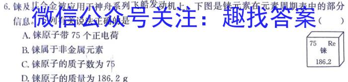 q2024届陕西省九年级期中教学质量检测(※)化学