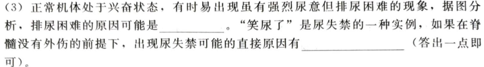 老教材老高考五省联考·2023-2024学年高三年级(二联)生物学试题答案