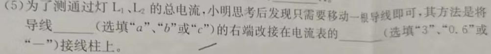 [今日更新][韶关一模]韶关市2024届高三综合测试(一).物理试卷答案