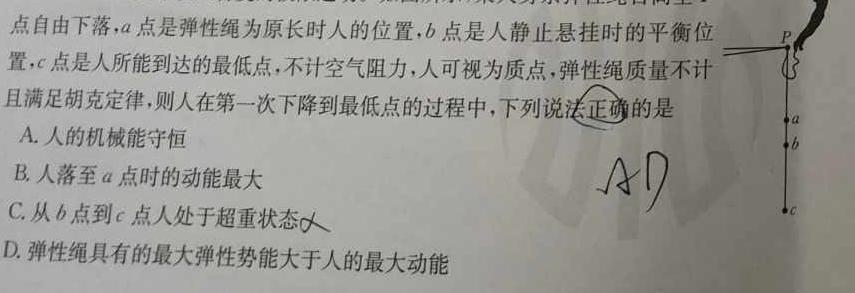 [今日更新]河南省2023-2024学年度第一学期九年级阶段性测试卷（3/4）.物理试卷答案