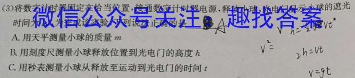 快乐考生 2024届双考信息卷第一辑 新高三摸底质检卷(二)l物理