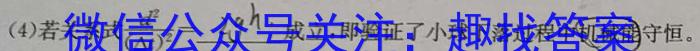 安徽省淮北市2023-2024学年九年级12月月考（无标题）物理试卷答案