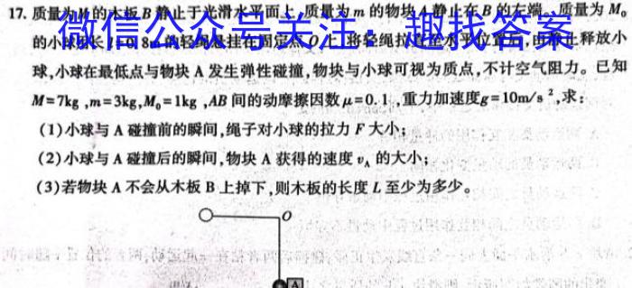 河北省思博教育2023-2024学年九年级第一学期第三次学情评估物理试卷答案