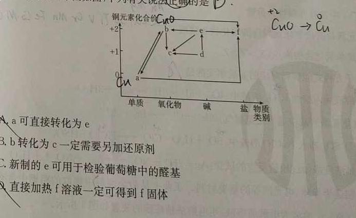 1安徽省2023-2024学年度第一学期七年级学科素养练习（二）化学试卷答案