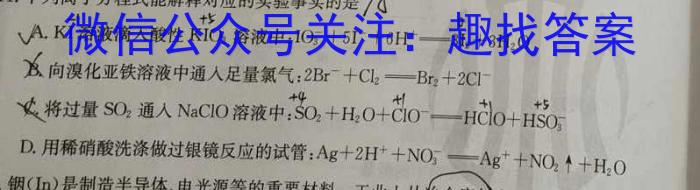 q［河北大联考］河北省邢台市五岳联盟2023-2024学年高三（上）期中考试化学