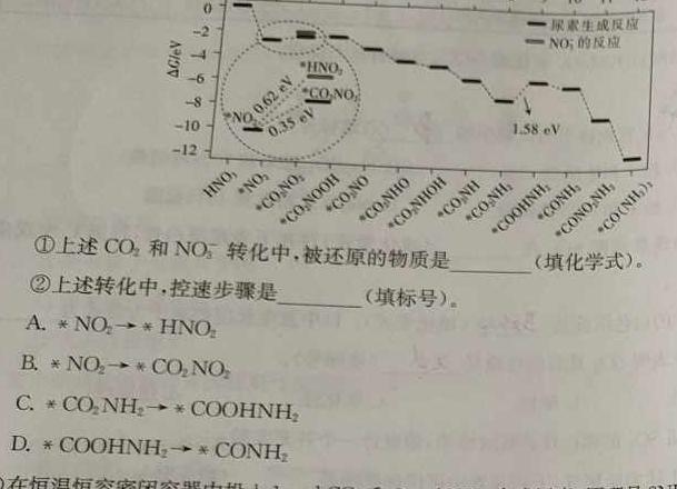 12024届高三12月大联考（全国乙卷）化学试卷答案