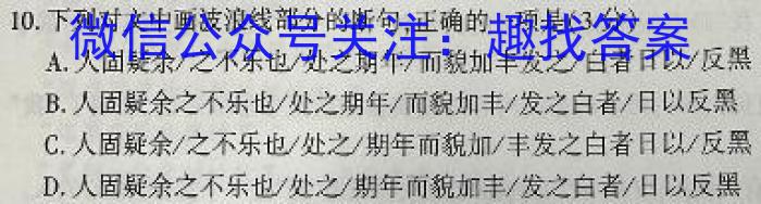 安徽省六安皋城中学2024届初三阶段性目标检测（四）语文