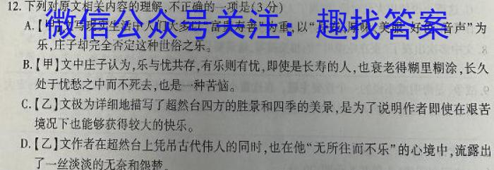 2024新高考单科综合卷 XGK(三)/语文