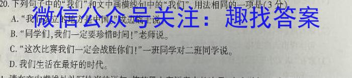 山东中学联盟2024届高三年级百校大联考12月联考语文