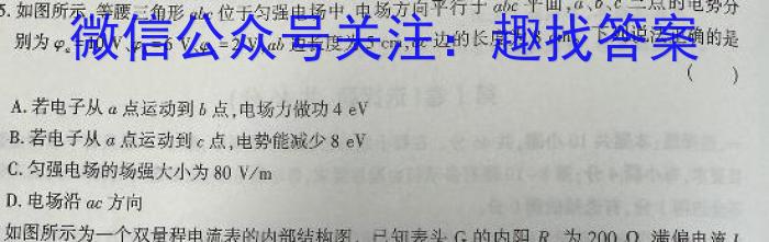 江西省“三新”协同教研共同体2023年12月份高二年级联合考试（双菱形）物理试卷答案