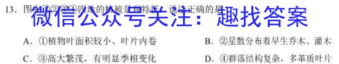 2024年广东高考精典模拟信息卷(十)10&政治