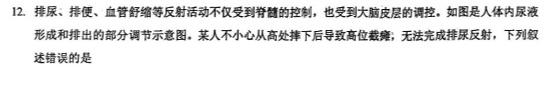 福建省龙岩市一级校联盟2023~2024学年高三第一学期半期考联考(24-108C)生物