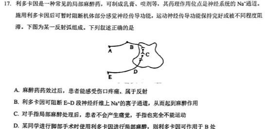 ［四省联考］2024届高三11月联考生物学试题答案