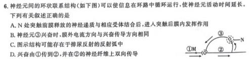 江西省2024届九年级11月考试（二）［11.28］生物学试题答案