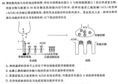 石室金匮 2024届高考专家联测卷(二)生物学试题答案