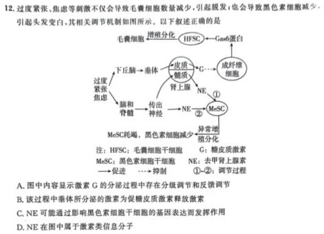 ［江西大联考］江西省2023-2024学年度高一年级上学期11月联考生物