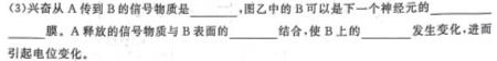 山西省平遥县2023-2024学年度第一学期八年级期中学业水平质量监测试题（卷）生物