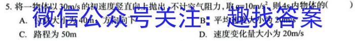 安徽省合肥市2024届九年级第一学期11月份阶段练习（11月）f物理