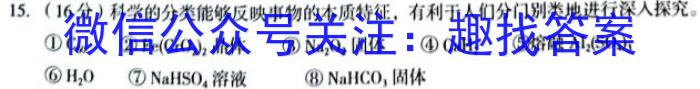 q2024届陕西省九年级期中教学质量检测(※)化学