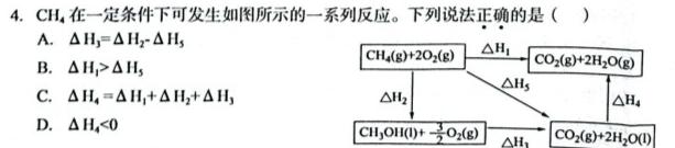 11号卷 A10联盟2024年高考原创信息卷(三)3化学试卷答案