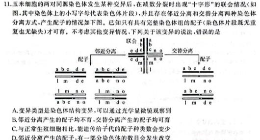 2023-2024学年陕西省高二12月联考(↑↑)生物学部分