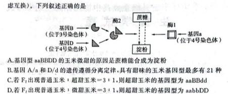 2023-2024学年广东省高一11月联考(24-112A)生物学部分