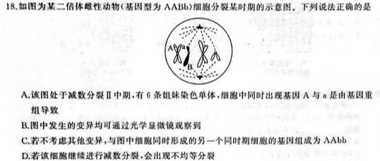 安徽省2023年七年级万友名校大联考教学评价三生物学试题答案