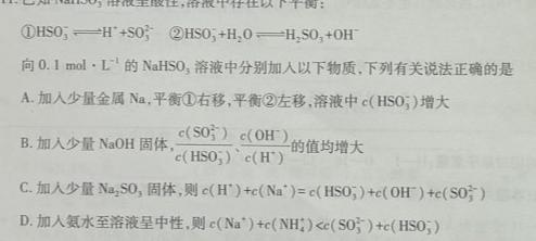 1新高中创新联盟TOP二十名校高一年级12月调研考试(241242D)化学试卷答案