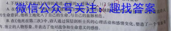 2023-2024学年陕西省高二12月联考(↑↑)语文