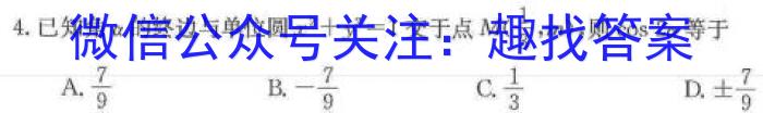 九师联盟 2024届高三5月考前押题地理试卷答案